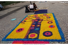 1_infiorata_02_06_2024-10