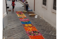 1_infiorata_02_06_2024-87