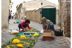 infiorata_02_06_2024-138