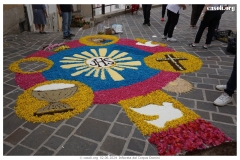 infiorata_02_06_2024-163