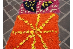 infiorata_02_06_2024-169