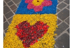 infiorata_02_06_2024-171