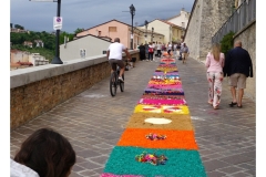 infiorata_02_06_2024-172