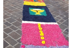 infiorata_02_06_2024-175