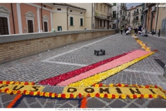 infiorata_02_06_2024-179