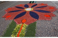 infiorata_02_06_2024-193