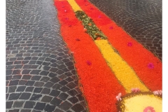 infiorata_02_06_2024-193_1