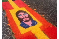 infiorata_02_06_2024-193_2