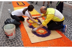 infiorata_02_06_2024-209