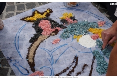 infiorata_02_06_2024-214