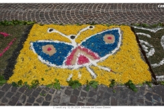 infiorata_02_06_2024-219