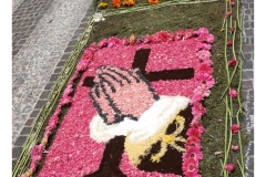 infiorata_02_06_2024-222