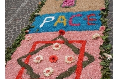 infiorata_02_06_2024-226