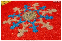 infiorata_02_06_2024-236