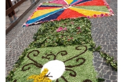 infiorata_02_06_2024-239