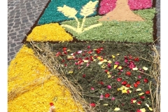 infiorata_02_06_2024-241