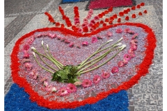 infiorata_02_06_2024-242