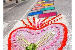 infiorata_02_06_2024-243