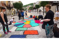 infiorata_02_06_2024-247