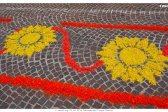 infiorata_02_06_2024-252