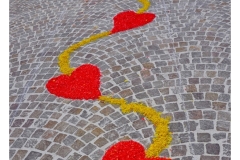 infiorata_02_06_2024-255