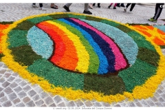 infiorata_02_06_2024-259