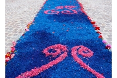 infiorata_02_06_2024-277