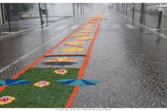 infiorata_02_06_2024-283