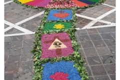 infiorata_02_06_2024-293