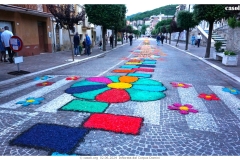 infiorata_02_06_2024-294